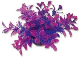 Happet Roślina do akwarium Folia 10cm / 1F15