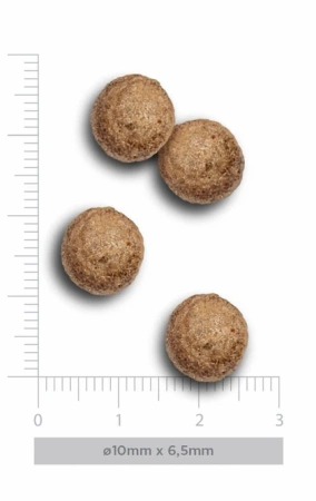 Amanova Mini Exquisite Karma dla Psa Kurczak 7kg