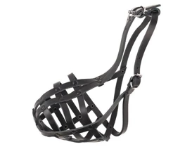 Dino Kaganiec Dla Psa Skórzany Nity 12 Owczarek Mały