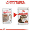 Royal Canin Ageing +12 Karma Mokra Dla Kota w Sosie 85g