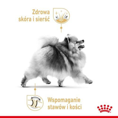 Royal Canin Mokra Karma Dla Szpica Miniaturowego 85g