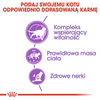 Royal Canin Sterilised 7+ Karma Sucha Dla Kota 1,5kg
