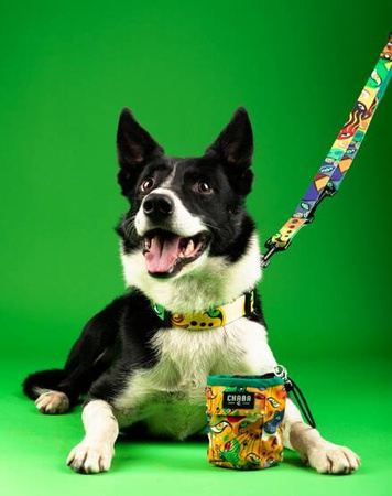 Chaba Smycz Regulowana dla Psa Jumbo M 20mm/260cm