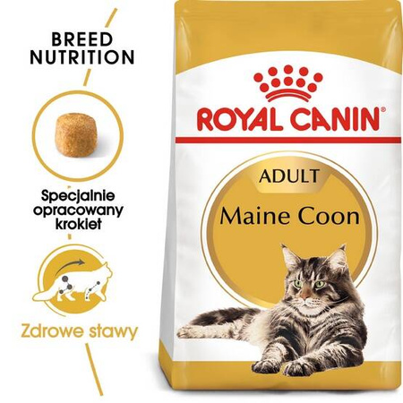 Royal Canin Karma Sucha Dla Kota Rasy Maine Coon 2kg