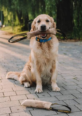 Dingo Zabawka Dla Psa Szarpak Juta Uchwyt 28/6cm