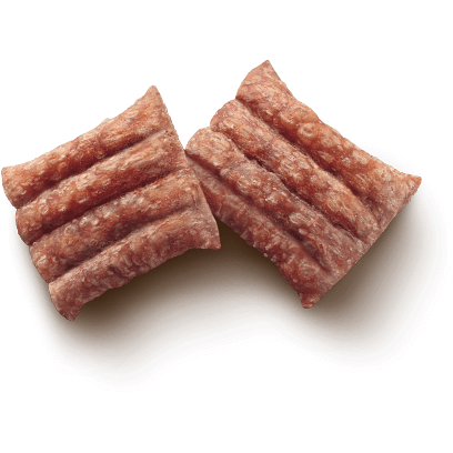 Purina Adventuros Nuggets Dzik 90g