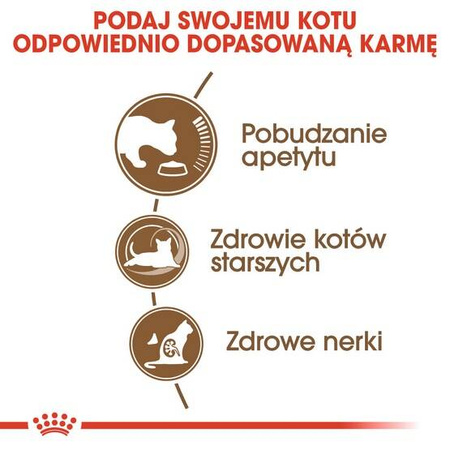 Royal Canin Ageing +12 Karma dla Kota Dojrzałego 400g
