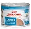 Royal Canin Starter Mother Babydog Mus dla Suk Szczeniąt 195g