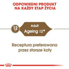 Royal Canin Ageing +12 Karma Mokra Dla Kota w Galaretce 85g