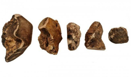 4Dogs Gryzak Z Korzenia Wrzośca XXL