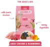 Sanabelle Adult Huhn Karma dla Kota Kurczak 2kg