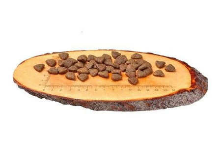 Carnilove Sucha Karma Dla Psa Łosoś 14kg