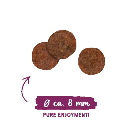 Sanabelle Senior Karma dla Kota Seniora Kurczak 400g