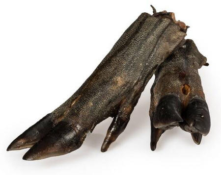 Balto Przysmak Dla Psa Racica Dzika 1szt