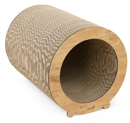 Gattino Drapak Dla Kota 12 Mia Dąb Lancelot