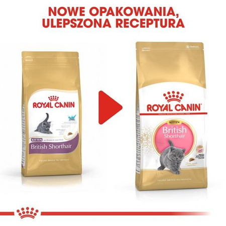 Royal Canin Karma Dla Kociąt Rasy Brytyjski Krótkowłosy 400g