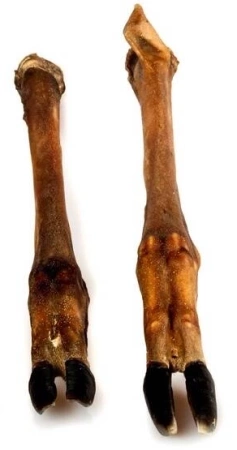 Balto Przysmak Dla Psa Racica Jelenia 2szt