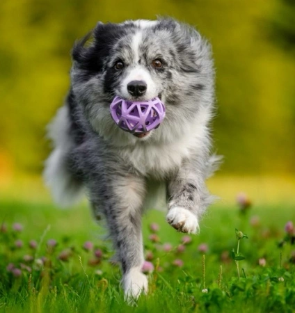 Toby's Choice Spiderweb Ball Piłka dla Psa M 9cm