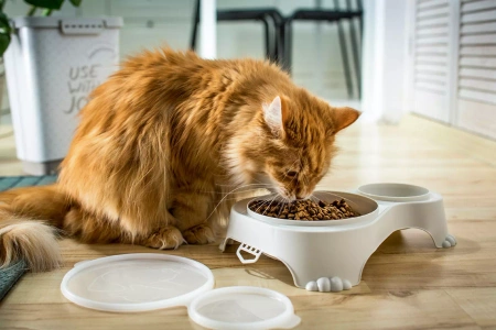 Pet Nova Miska Dla Psa Kota Podwójna Pokrywa Beż