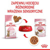 Royal Canin Kitten Sterilised Karma Mokra Dla Kociąt Sos 85g