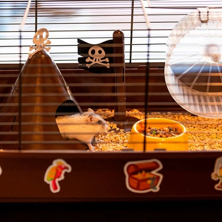 Ferplast Criceti 9 Pirates Klatka Dla Chomika Brązowa