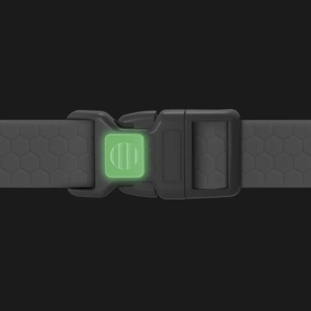 WAUDOG Wodoodporna Obroża dla Psa M 2/28-40cm Niebieska