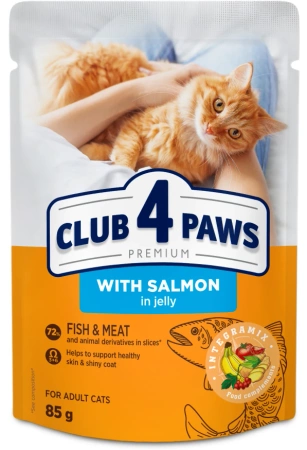 Club 4 Paws Karma Dla Kota Łosoś w Galaretce 12x85g