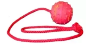 Fixi Piłka Dla Psa Aportowa 2 Dzwonek