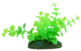 Roślina Plastikowa do akwarium 10cm