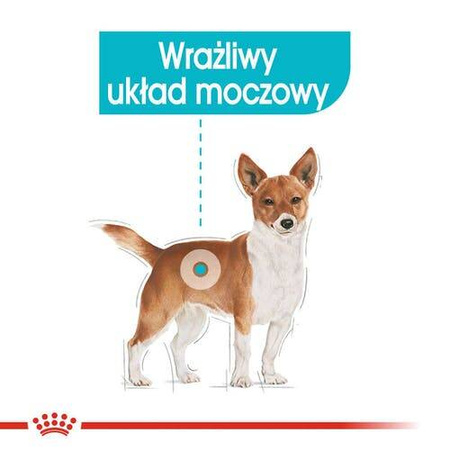 Royal Canin Karma Mokra dla Psa na Układ Moczowy 85g