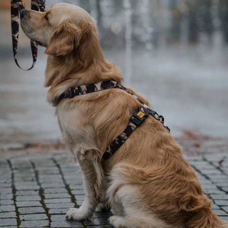 Dingo Guard City Texas Szelki dla Psa Brązowe 3/55-100cm