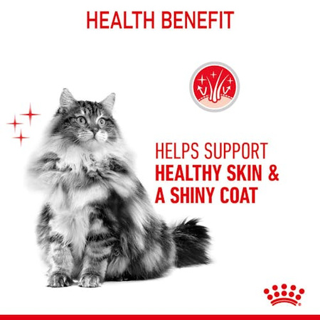 Royal Canin Hair Skin Care Karma Mokra dla Kota Sos 85g
