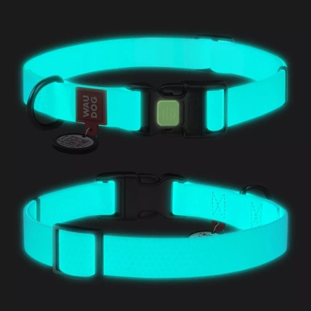 WAUDOG Wodoodporna Obroża dla Psa M 2/28-40cm Niebieska