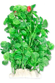 Happet Roślina do Akwarium Folia  Zielona 20cm