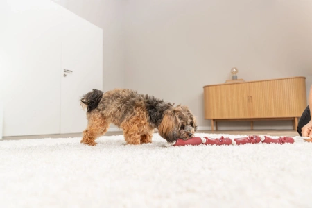 Trixie Zabawka dla Psa Kiełbaski Na Sznurze Winyl 75cm