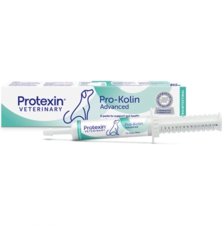 Pro-Kolin Advanced Witaminy Dla Psa na Jelita 30ml
