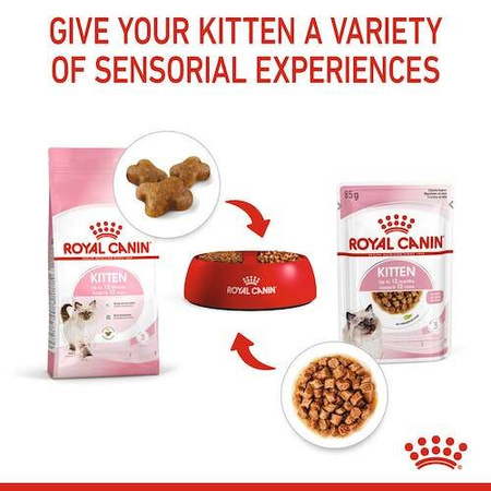 Royal Canin Kitten Karma Mokra Dla Kociąt w Galaretce 85g
