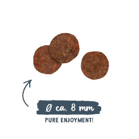 Sanabelle Adult Forelle Karma dla Kota Pstrąg 400g