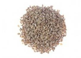 Borex Słonecznik Łuskany Dla Ptaków 4 kg