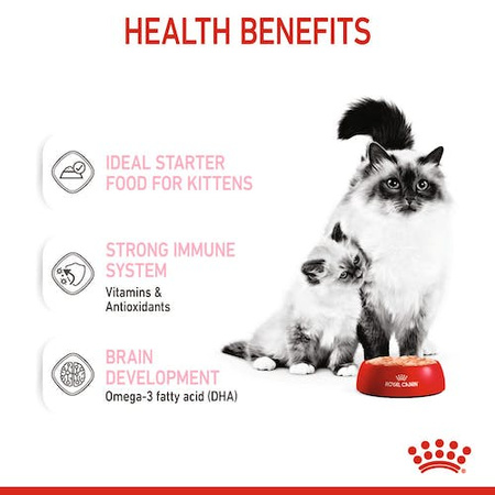 Royal Canin Mother Babycat Mousse Mus dla Kociąt Kotek Karmiących 195g