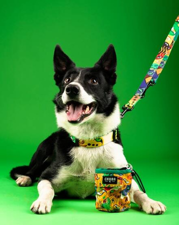 Chaba Obroża Dla Psa Regulowana Story III L Jumbo