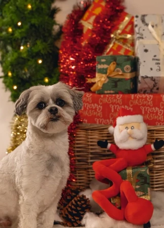 Beeztees Zabawka dla Psa Mikołaj Spirala 32cm