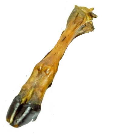 Balto Przysmak Dla Psa Racica Barania 1szt