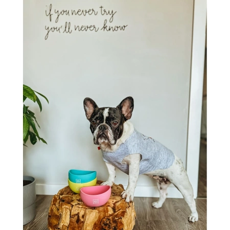 WAUDOG Silicone Miska Dla Psa Różowa 250ml