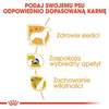 Royal Canin Sucha Karma Dla Psa Rasy York 1,5kg