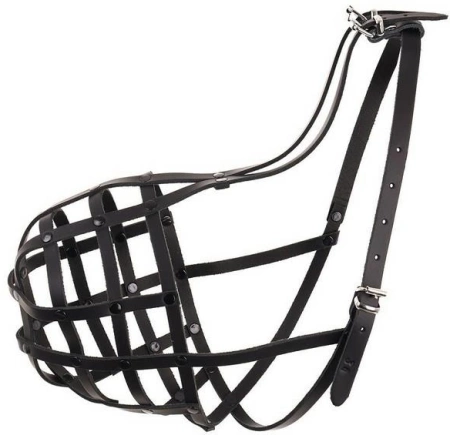 Dino Kaganiec Dla Psa Skórzany Nity 34 Rottweiler Duży