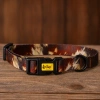Dingo City Texas Obroża Dla Psa Brązowa 2/45cm