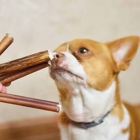 4DOGS Przysmak Dla Psa Gryzak z Penisa Wołowego M