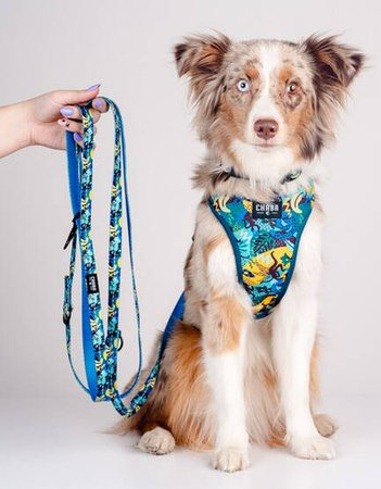 Chaba Smycz Regulowana dla Psa Carnival S 16mm/260cm