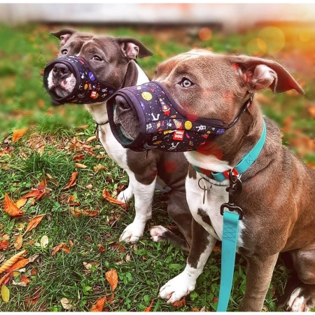 WAUDOG Nylon Kaganiec Dla Psa Czarny NASA S